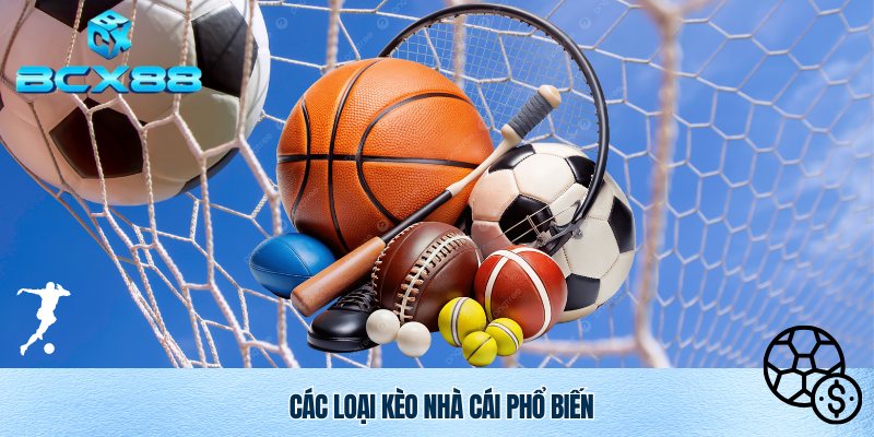 Kèo Nhà Cái BCX88 – Cập Nhật Tỷ Lệ Chuẩn Xác, Nhanh Nhất 2 Điểm danh các thể loại kèo nhà cái thịnh hành