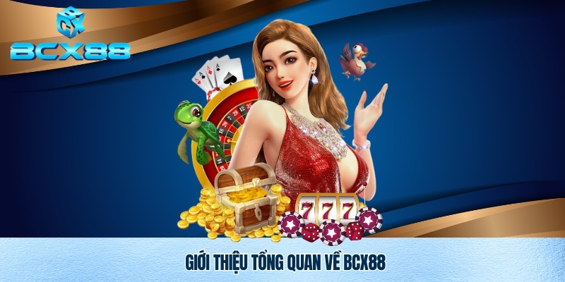 Câu Hỏi Thường Gặp Bcx88 – Giải Đáp Toàn Diện Cho Người Chơi 1 Câu hỏi thường gặp Bcx88