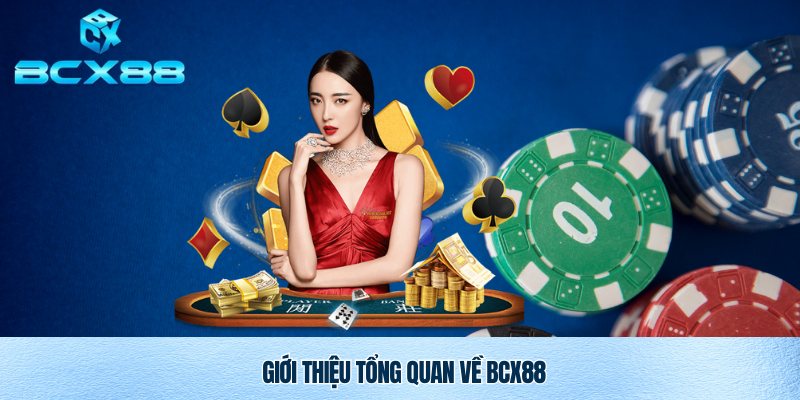 BCX88 Trang Chủ Nhà Cái Cá Cược Uy Tín Năm 2025 1 Tổng quan về nhà cái uy tín BXC88